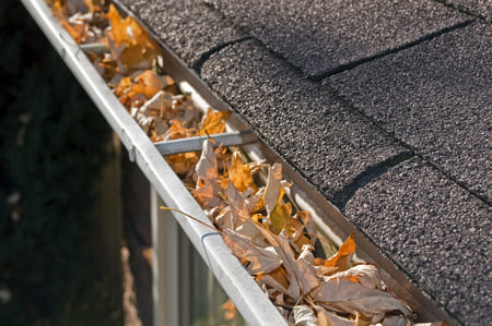 Reasons Regular Gutter Cleaning is Important Thumbnail
